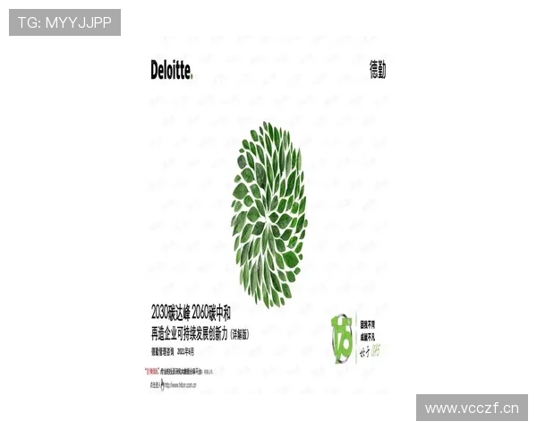 企业家代表在推动创新与可持续发展中的关键角色与责任探析